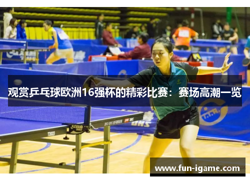 观赏乒乓球欧洲16强杯的精彩比赛：赛场高潮一览